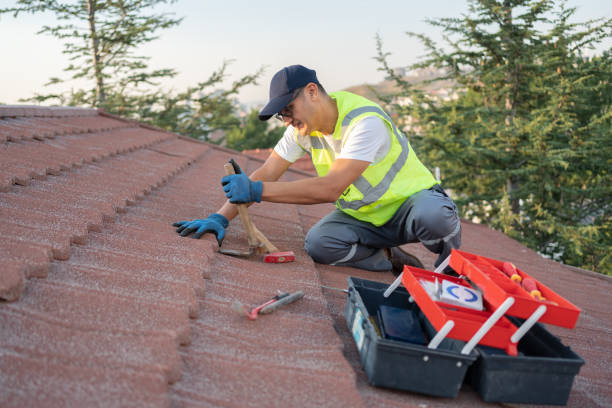 Best Roof Gutter Cleaning  in South Rosemary, NC